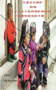 chinese cover